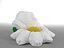 Chamomile bean bag(1)