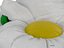 Chamomile bean bag(1)