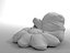 Chamomile bean bag(1)