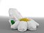Chamomile bean bag(1)