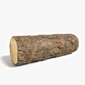 Wood Log 2