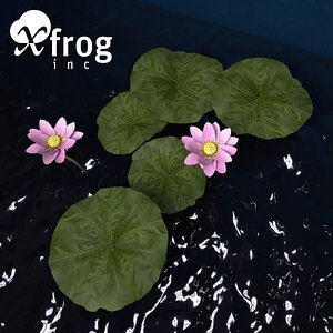 XfrogPlants Lotus