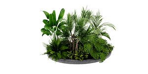 3D Collection plant vol 450 - blender model