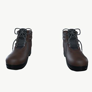 Safety Shoes 3D