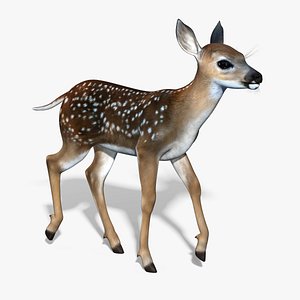 Fawn(Baby Deer)(RIGGED)
