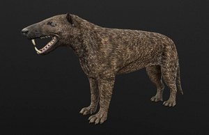 3D extinct mammals