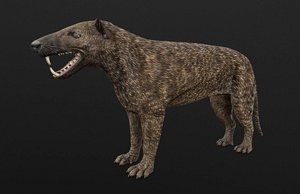 Hyaenodon horridus