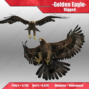 3d golden eagle