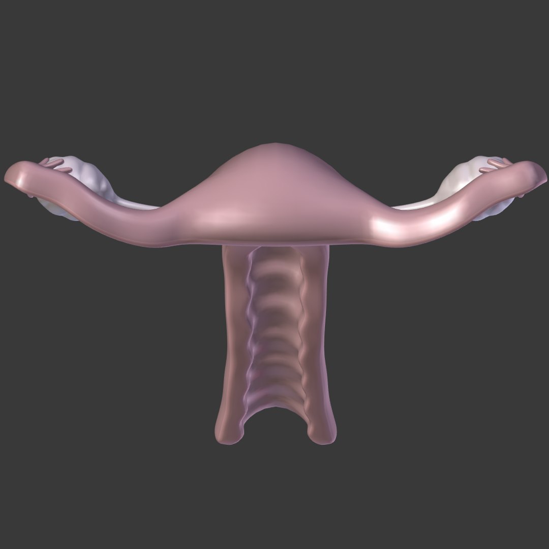 reproductive 3ds https://p.turbosquid.com/ts-thumb/ve/Vjti7T/4pHYbemI/i21/png/1469704812/1920x1080/fit_q87/5f2c642a7553c81c63ec214164c2871b6cf9e4b5/i21.jpg