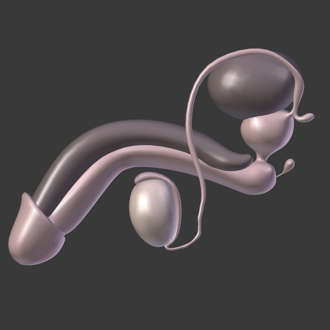 reproductive 3ds https://p.turbosquid.com/ts-thumb/ve/Vjti7T/9LUWU06c/i12/png/1469704703/1920x1080/fit_q87/b8285588f33d61e765505facfea5033f0dff58aa/i12.jpg