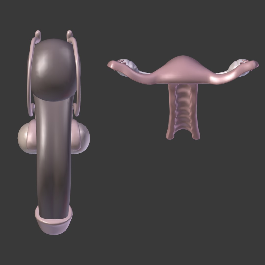 reproductive 3ds https://p.turbosquid.com/ts-thumb/ve/Vjti7T/Ceo32cad/i8/png/1469704583/1920x1080/fit_q87/a7e8c76dc68f568f4af8f93e62a0a1c75c4ff3a9/i8.jpg
