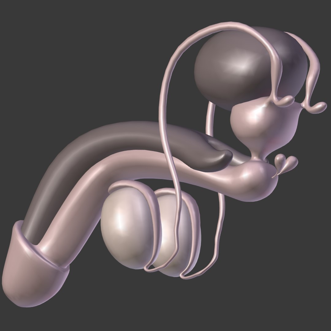 reproductive 3ds https://p.turbosquid.com/ts-thumb/ve/Vjti7T/N262VtBA/i13/png/1469704703/1920x1080/fit_q87/2c3f7b12381d1a45e2f34a07248d86ceb80d4bd8/i13.jpg