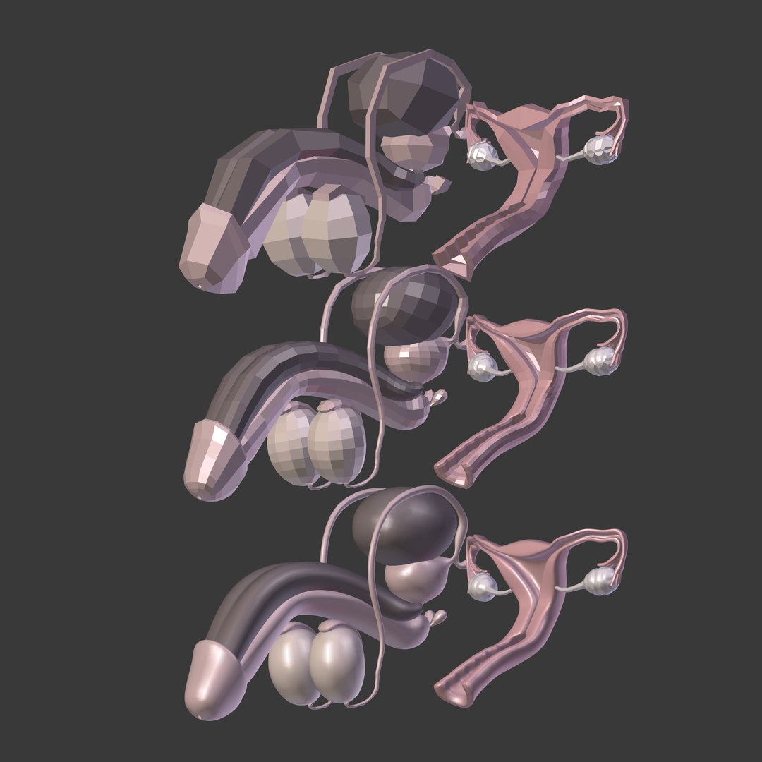 reproductive 3ds https://p.turbosquid.com/ts-thumb/ve/Vjti7T/UG8zR76Y/i28/png/1469705007/1920x1080/fit_q87/89e31f39f5c92dec39dd866ed8165e901fb10878/i28.jpg
