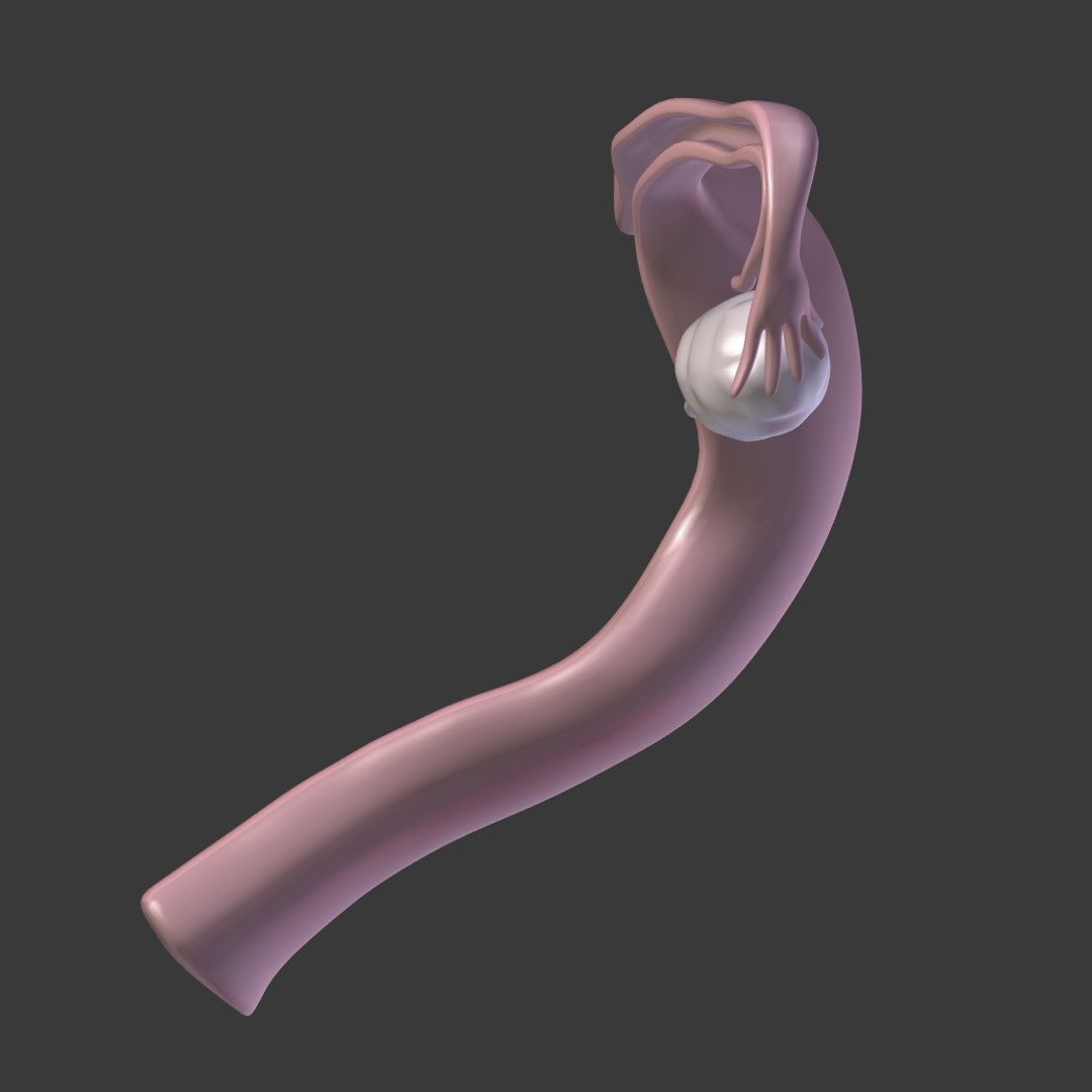 reproductive 3ds https://p.turbosquid.com/ts-thumb/ve/Vjti7T/XJO7Tt9i/i20/png/1469704812/1920x1080/fit_q87/18a4dfd53d995ea77860d53608256263f055b1f4/i20.jpg