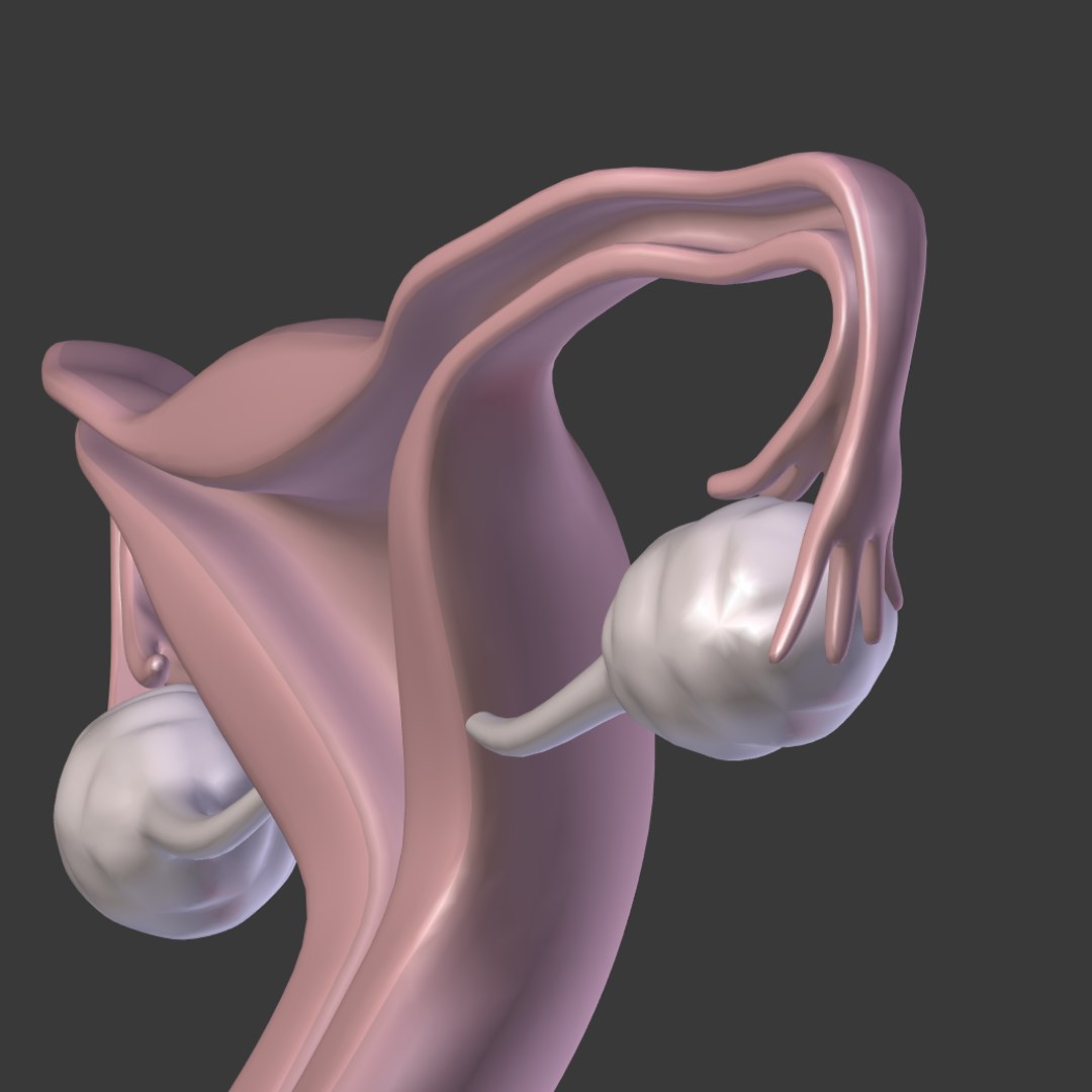 reproductive 3ds https://p.turbosquid.com/ts-thumb/ve/Vjti7T/nyfcWmy9/i24/png/1469704812/1920x1080/fit_q87/3cfa5ea4ac129a4dbf45f2d07d80db39aae7f3dd/i24.jpg