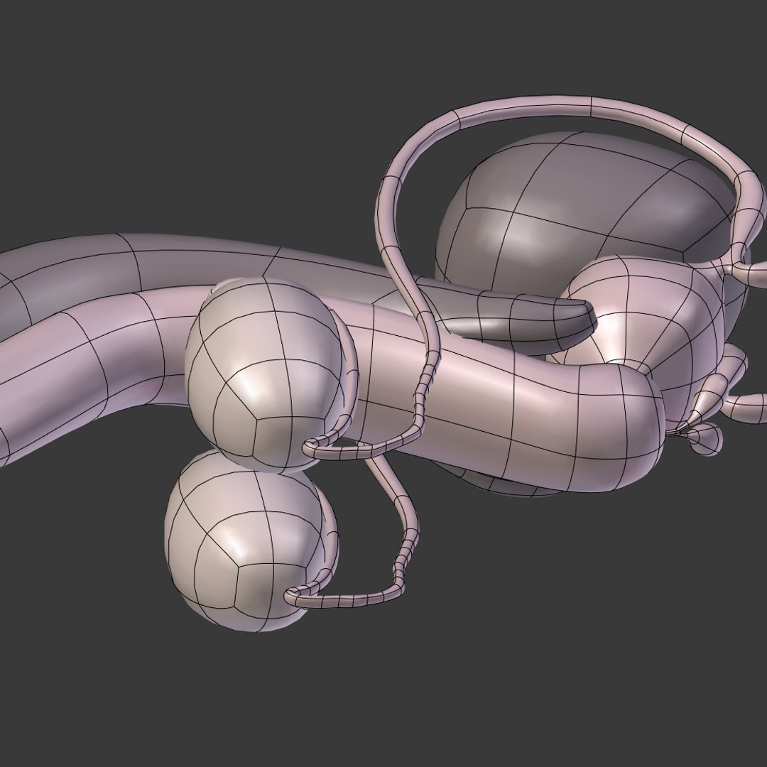 reproductive 3ds https://p.turbosquid.com/ts-thumb/ve/Vjti7T/okMpdT5O/i18/png/1469704703/1920x1080/fit_q87/59741be36184497eb08337c3d294797c6d0bba19/i18.jpg