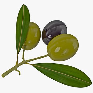 Olives
