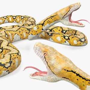 Reticulated Python Rigged for Cinema 4D
