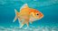 Goldfish (Animated)