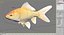 Goldfish (Animated)