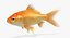 Goldfish (Animated)