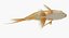 Goldfish (Animated)