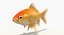 Goldfish (Animated)