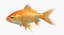 Goldfish (Animated)