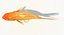 Goldfish (Animated)