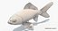 Goldfish (Animated)
