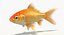 Goldfish (Animated)