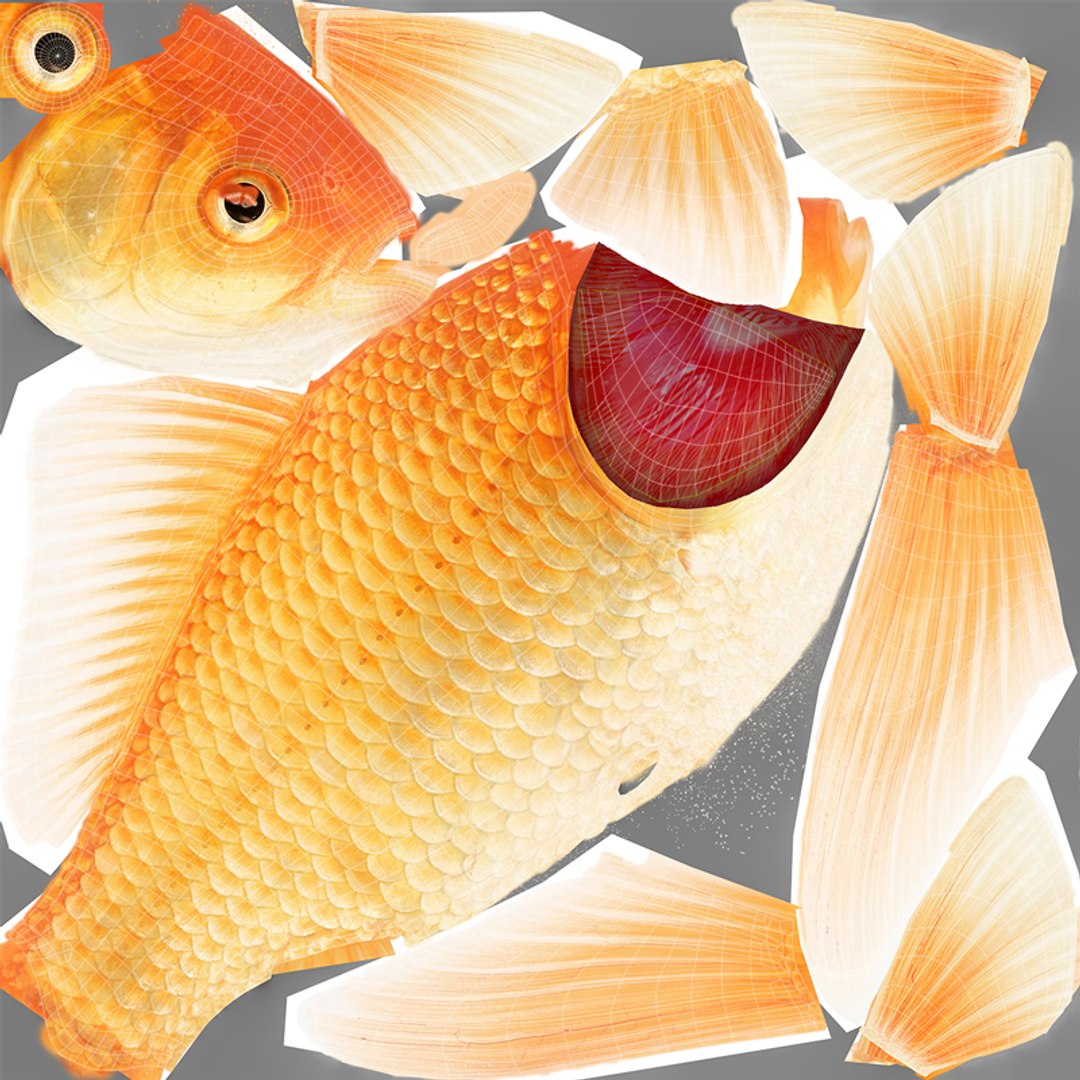 goldfish animation model https://p.turbosquid.com/ts-thumb/ve/zEkju8/ruGGegns/t1/jpg/1492546371/1920x1080/fit_q87/564d83d49a52e9d43a412e9ca282328fa73df2ce/t1.jpg