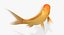 Goldfish (Animated)