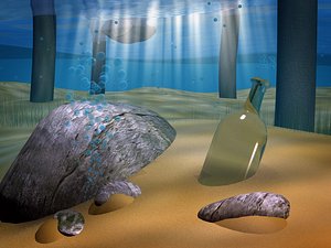 underwater scene