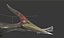 Pterodon animations