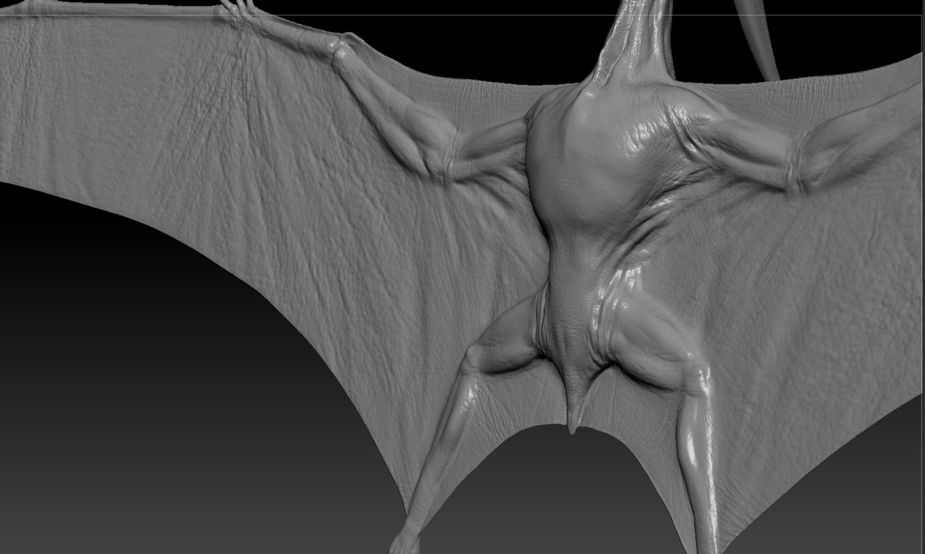 3D model pterodon fly flap https://p.turbosquid.com/ts-thumb/vf/4BjsZ0/ZLoPgyQv/pterod_14/jpg/1525247414/1920x1080/fit_q87/b25955788c76b2ecd023d15596ec6c0fab1ccfaa/pterod_14.jpg