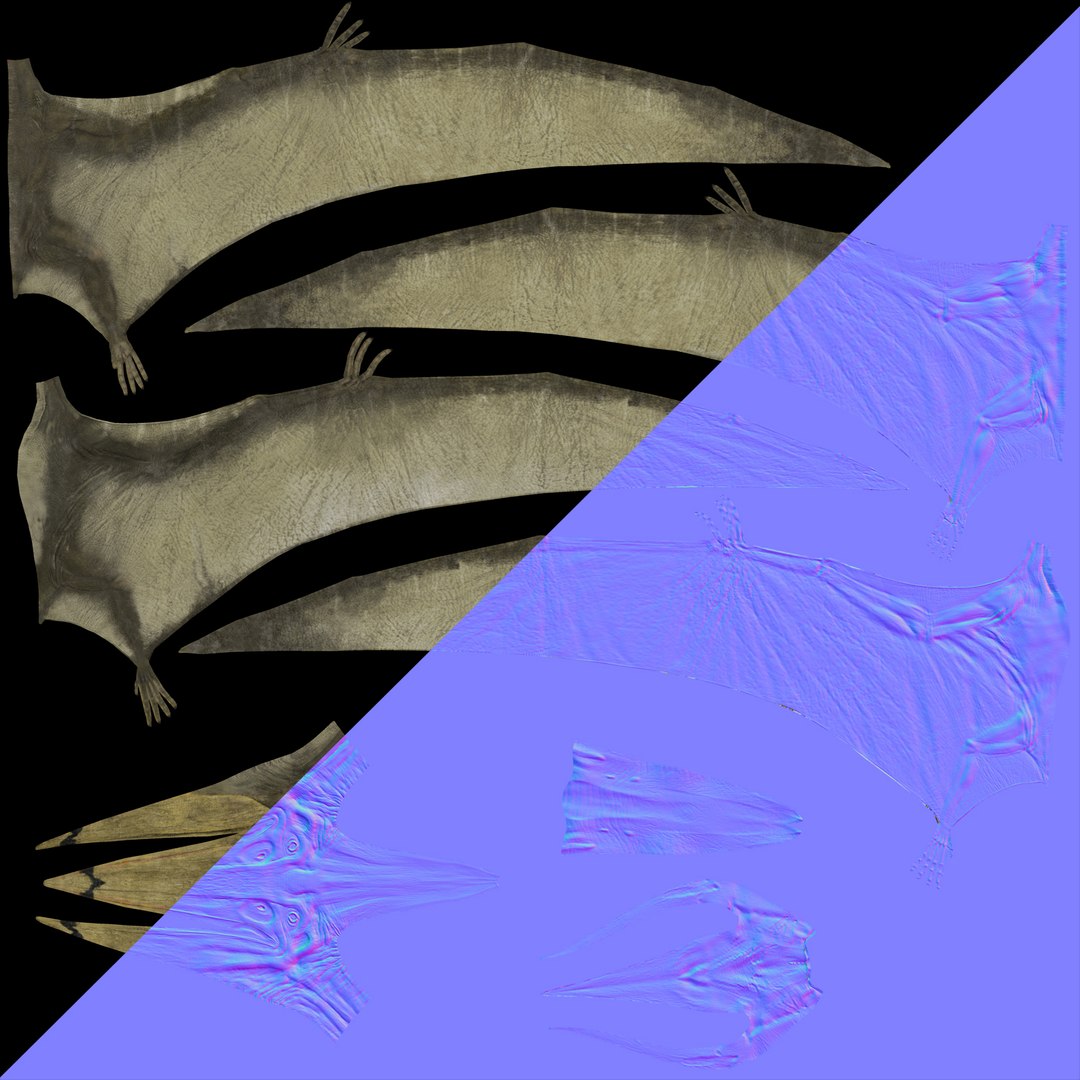 3D model pterodon fly flap https://p.turbosquid.com/ts-thumb/vf/4BjsZ0/lH0QXEQ4/pterod_12/jpg/1525247375/1920x1080/fit_q87/9bb3bb5026a56d4bf512159e981240df391c8bf2/pterod_12.jpg