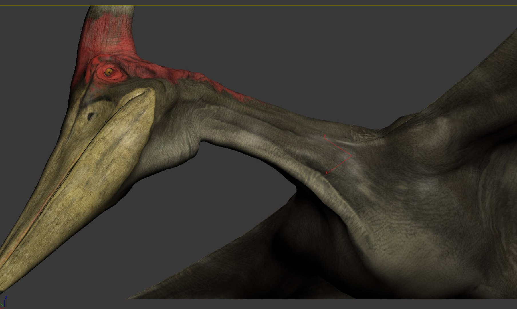 3D model pterodon fly flap https://p.turbosquid.com/ts-thumb/vf/4BjsZ0/xJ6TrP6D/wire01/jpg/1525247431/1920x1080/fit_q87/d6d385bff2076a110a5608060c3e6c054843543e/wire01.jpg