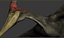 Pterodon animations