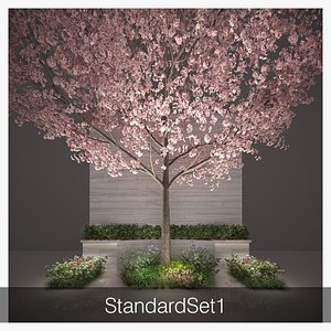StandardSet1 15trees 3D model