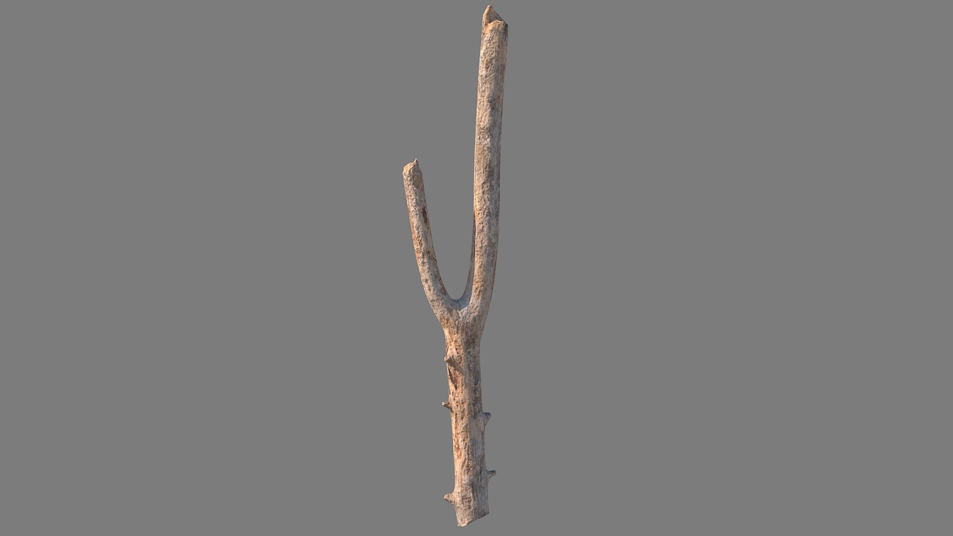 3D Model Twig Scanned 32 - TurboSquid 2088234