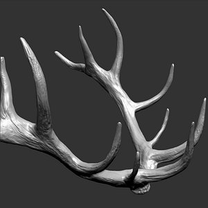 3D deer horns