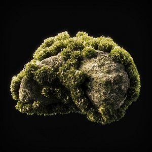 Moss Low Poly 9