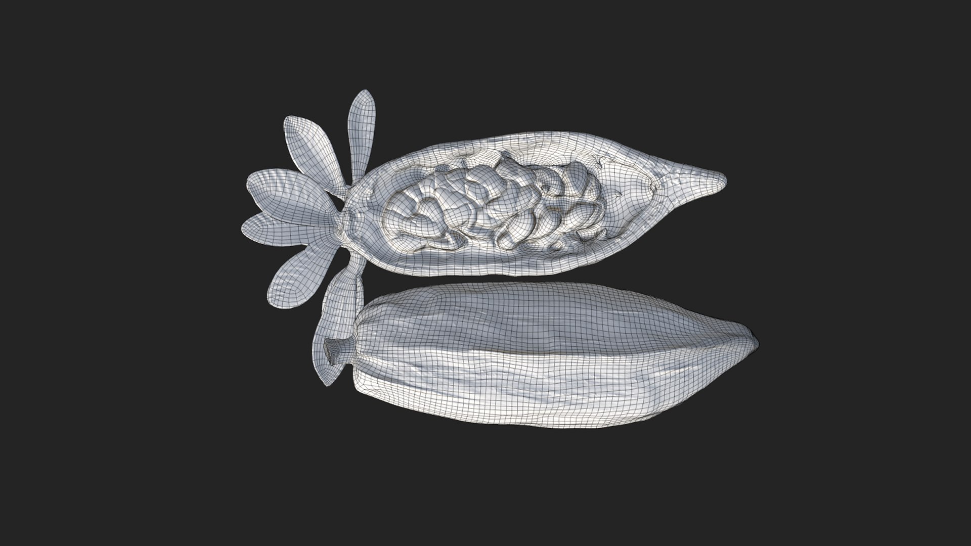 Cocoa Fruits Beans Set Low-poly 3D Model - TurboSquid 2381878