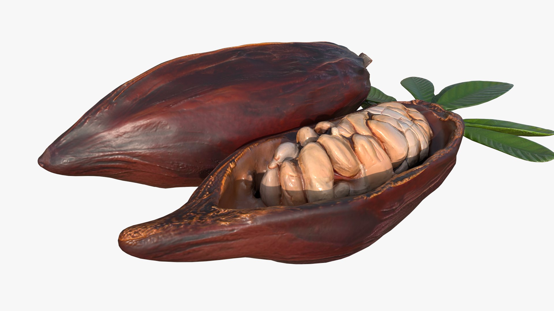 Cocoa Fruits Beans Set Low-poly 3D Model - TurboSquid 2381878