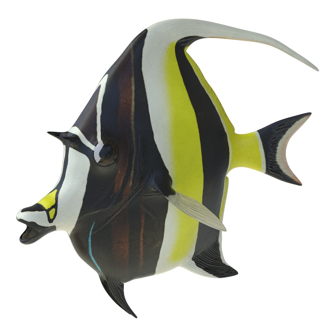 moorish idol fish pose 3d c4d https://p.turbosquid.com/ts-thumb/vf/mwyILL/CMRBS54h/moorishidolfish3ds3dmodel02/jpg/1461593396/1920x1080/fit_q87/4e6f97e38ba93973bd90265496cfd5c6b4db6ccd/moorishidolfish3ds3dmodel02.jpg