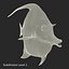 Moorish Idol Fish Pose 2 Modello 3D