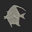 Moorish Idol Fish Pose 2 Modello 3D