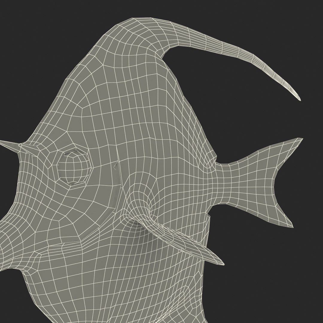 moorish idol fish pose 3d c4d https://p.turbosquid.com/ts-thumb/vf/mwyILL/WVh2XFIr/moorishidolfish3ds3dmodel41/jpg/1461593399/1920x1080/fit_q87/ad072f1c6e3816e980deed57314033c22439648d/moorishidolfish3ds3dmodel41.jpg