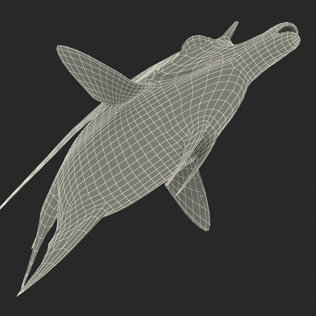 moorish idol fish pose 3d c4d https://p.turbosquid.com/ts-thumb/vf/mwyILL/pnKFjqAN/moorishidolfish3ds3dmodel37/jpg/1461593399/1920x1080/fit_q87/bbad1035d70b5b5d7c6fbbe44360c09a9fa1db48/moorishidolfish3ds3dmodel37.jpg